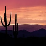 Testemunho de Soraia CUnha