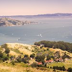 Testemunho de Livia I