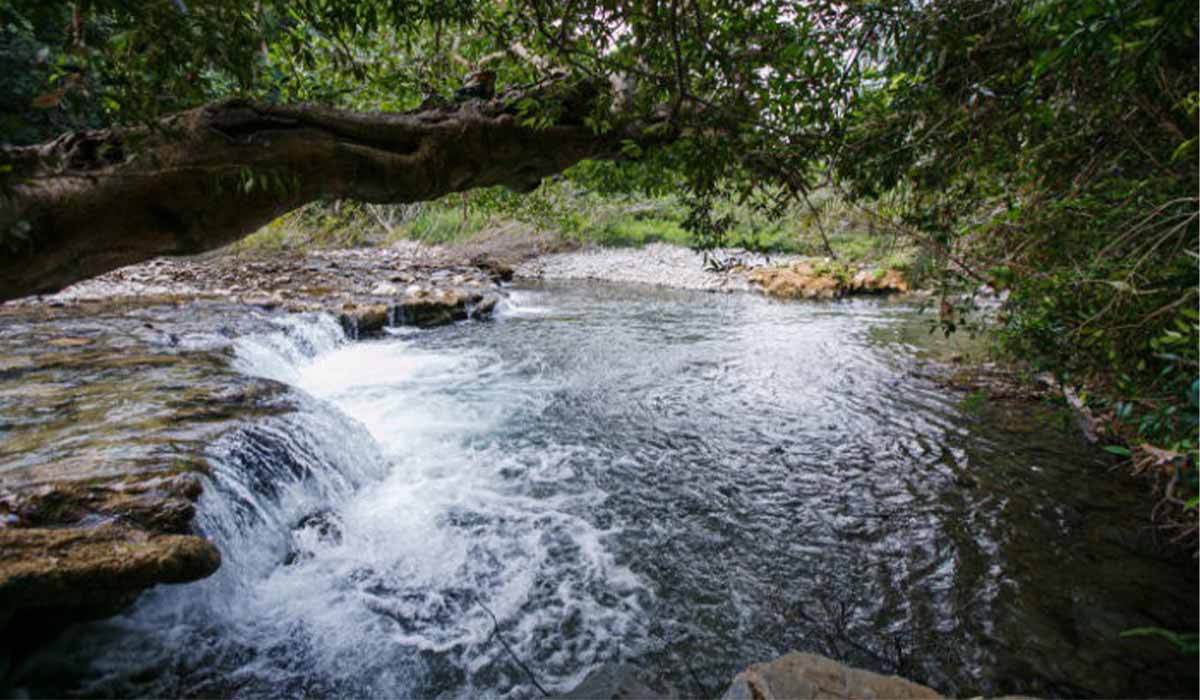 Queda da Piranputanga