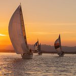 Testemunho de Fernando S