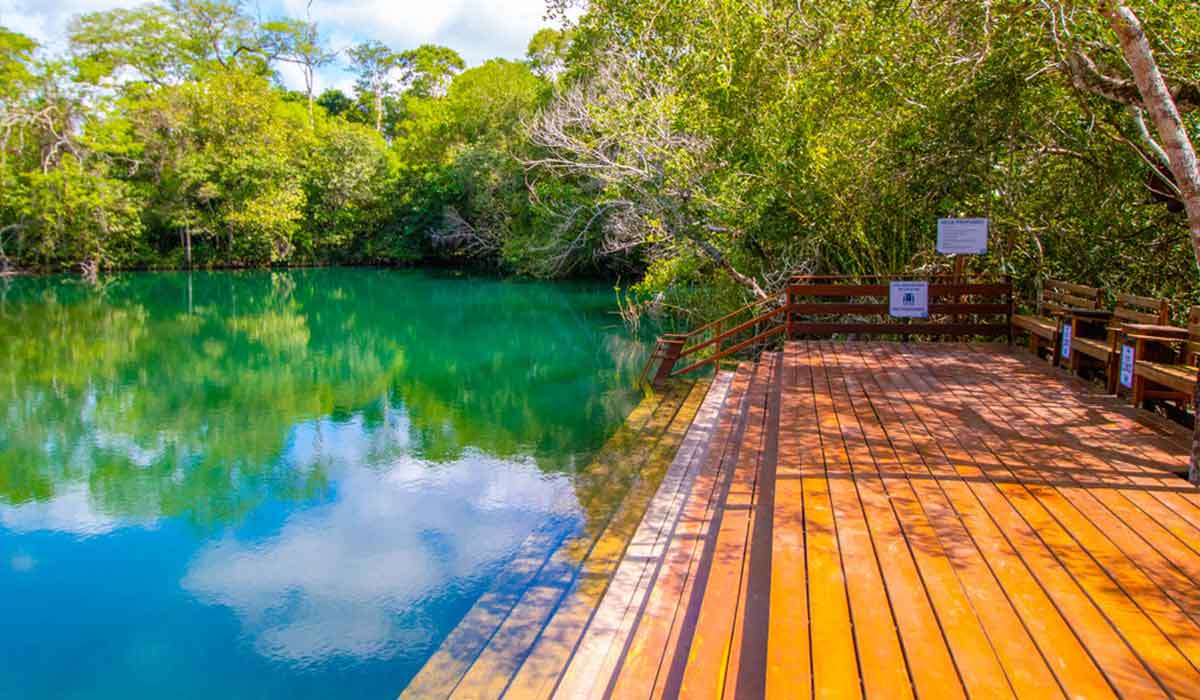 7 Deck Para Banho