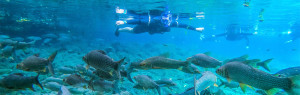 Flutuação + Balneário Nascente Azul