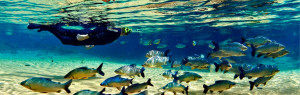 Flutuação Rio da Prata