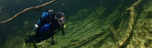 Mergulho Discovery Rio Formoso