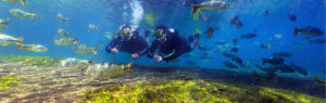 Mergulho Rio da Prata